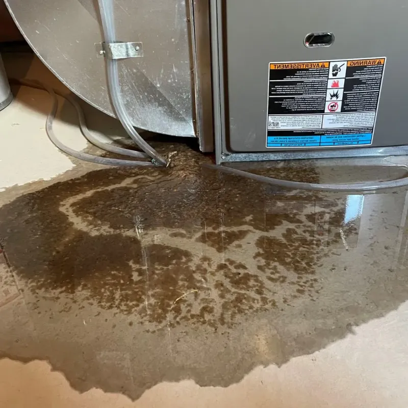 Pipe Burst and Leak Restoration in Jerome County, ID